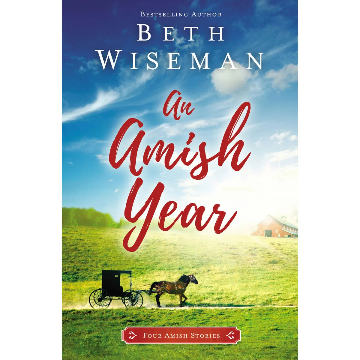 An Amish Year (Paperback)