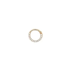 Diamond Daith Lock Hoop Earring