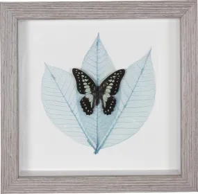 Wall Art - Framed Butterfly Exotic Black and Turquoise